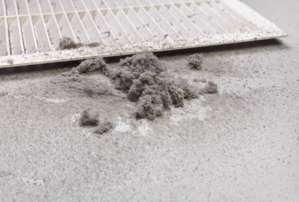Best Ductwork Cleaning Services  in Byram, MS